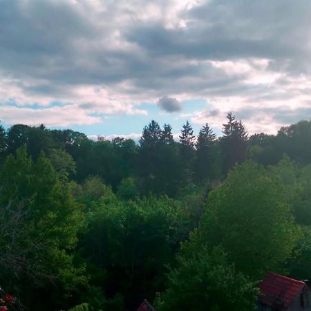 Ferienwohnung Im Manbach Freudenstadt Dış mekan fotoğraf