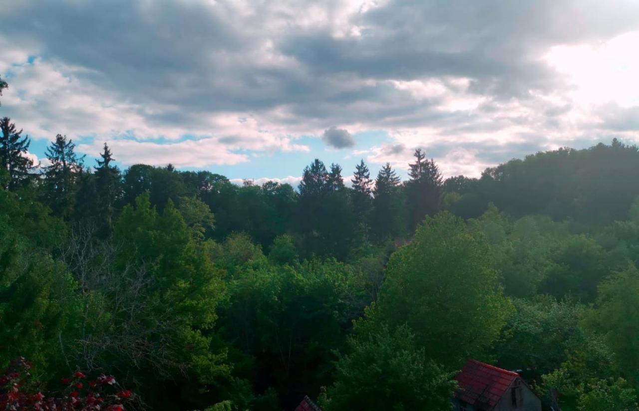 Ferienwohnung Im Manbach Freudenstadt Dış mekan fotoğraf