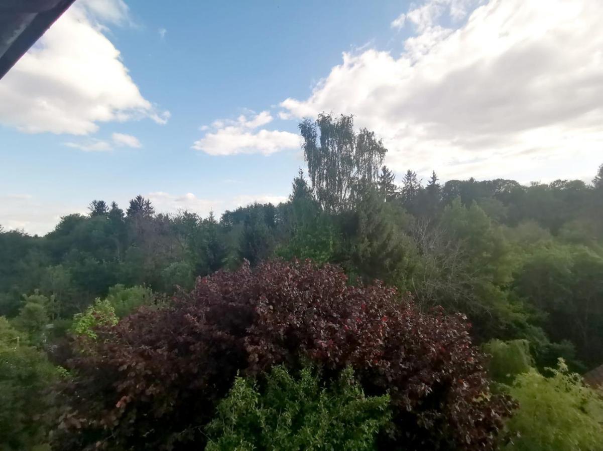 Ferienwohnung Im Manbach Freudenstadt Dış mekan fotoğraf